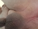 Eromarkt.nl - 3/3